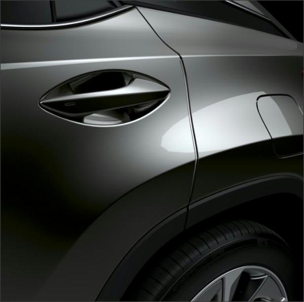Защита дверных кромок, графит Lexus PT9364816012